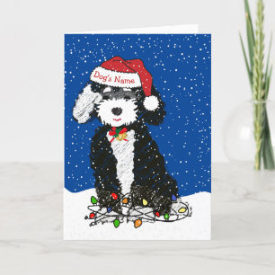 Cartes Pour Fêtes Annuelles Noël personnalisé Naughty Bernedoodle
