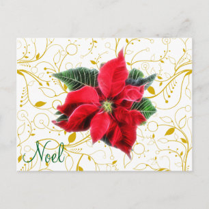 Cartes Pour Fêtes Annuelles Noel Poinsettia