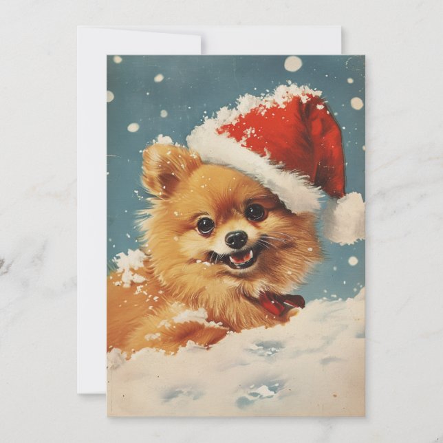 Cartes Pour Fêtes Annuelles Noël Poméran (Devant)