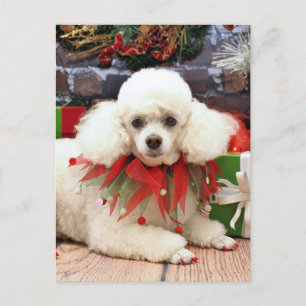 Cartes Pour Fêtes Annuelles Noël - Poodle - Sophie