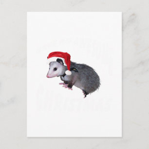 Cartes Pour Fêtes Annuelles Noël Possum génial
