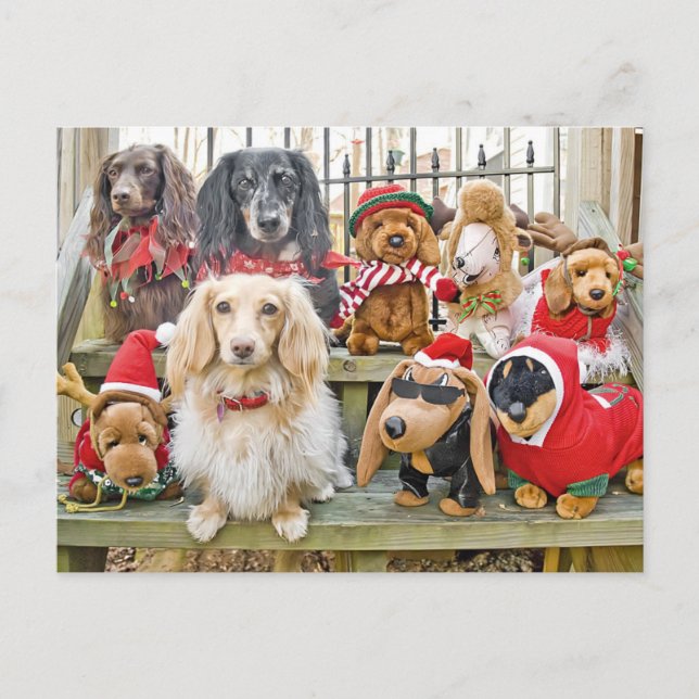 Cartes Pour Fêtes Annuelles Noël rassemble toute la famille (Devant)