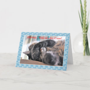 Cartes Pour Fêtes Annuelles Noël réveille-moi quand c'est fini ! Cat Christmas