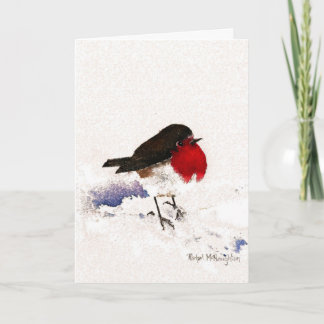 Cartes Pour Fêtes Annuelles Noël Robin