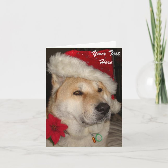 Cartes Pour Fêtes Annuelles Noël rouge de pointsettia de casquette de père (Devant)