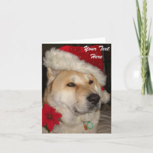 Cartes Pour Fêtes Annuelles Noël rouge de pointsettia de casquette de père