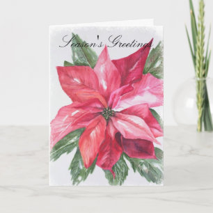 Cartes Pour Fêtes Annuelles Noël Rouge Poinsettia