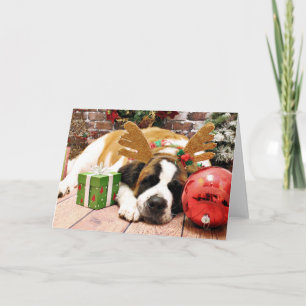 Cartes Pour Fêtes Annuelles Noël - Saint Bernard - Bleu