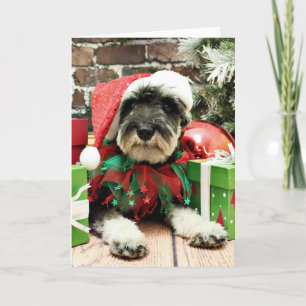 Cartes Pour Fêtes Annuelles Noël - Schnauzer - Tom Dooley