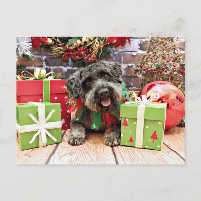 Cartes Pour Fêtes Annuelles Noël - Schnoodle - Dexter (Devant)