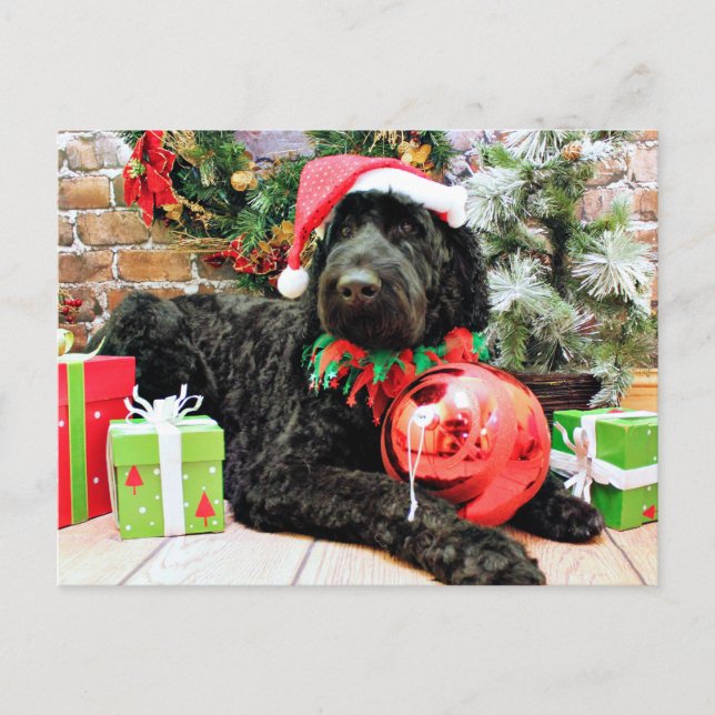 Cartes Pour Fêtes Annuelles Noël - Schnoodle - Zeus (Devant)