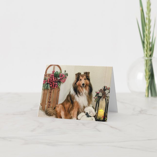 Cartes Pour Fêtes Annuelles Noël sheltie (Devant)