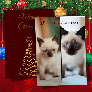 Cartes Pour Fêtes Annuelles Noël siamois