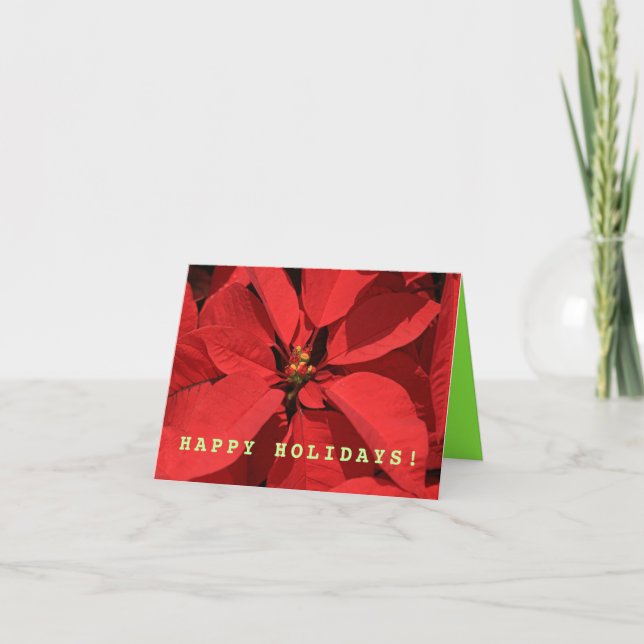Cartes Pour Fêtes Annuelles Noël simple Poinsettia (Devant)