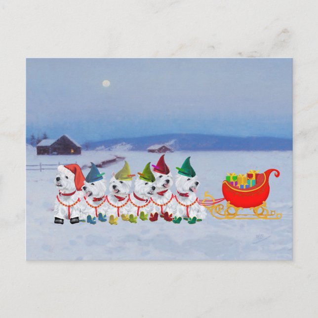 Cartes Pour Fêtes Annuelles Noël Sleigh (Devant)