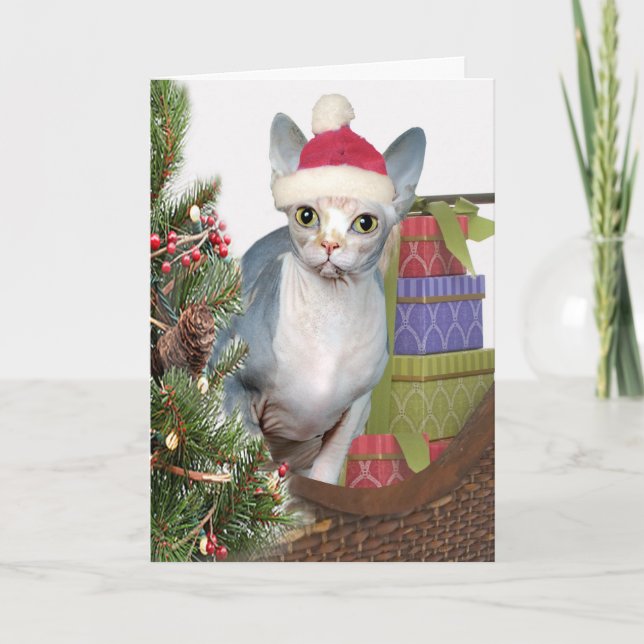 Cartes Pour Fêtes Annuelles Noël Sphynx (Devant)