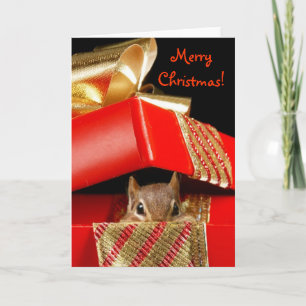 Cartes Pour Fêtes Annuelles Noël Surprise !