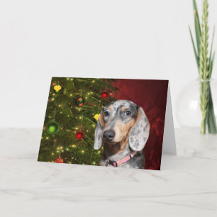 Cartes Pour Fêtes Annuelles Noël tacheté de teckel