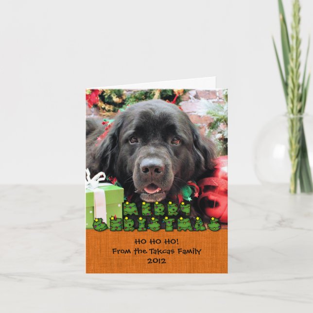 Cartes Pour Fêtes Annuelles Noël - Terre-Neuve - Izzie (Devant)