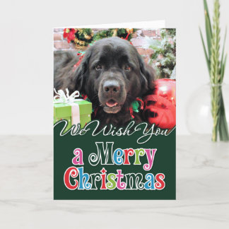 Cartes Pour Fêtes Annuelles Noël - Terre-Neuve - Izzie