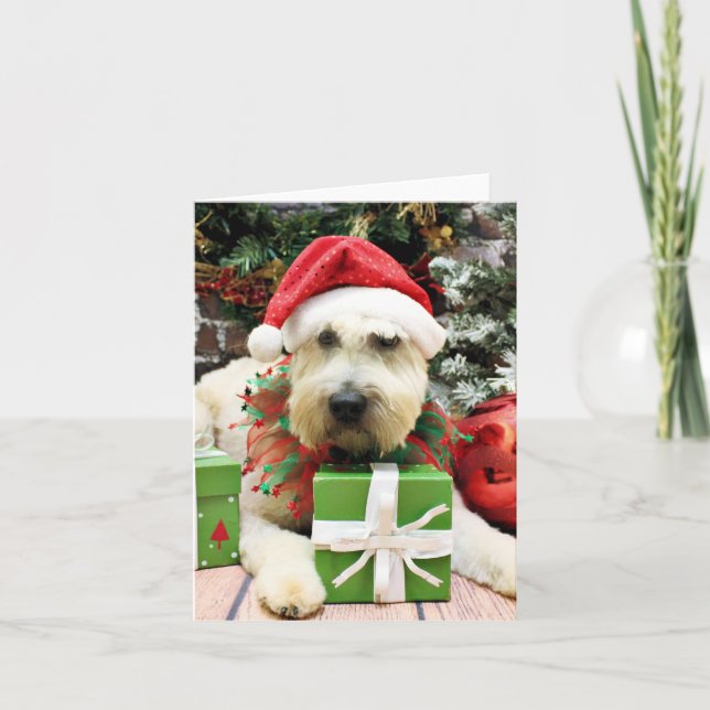 Cartes Pour Fêtes Annuelles Noël - Terrier blond comme les blés - Bailey (Devant)