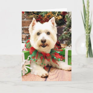 Cartes Pour Fêtes Annuelles Noël - Terrier des montagnes occidental - Abby