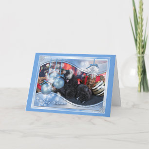 Cartes Pour Fêtes Annuelles Noël - Toby - caniche