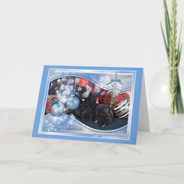 Cartes Pour Fêtes Annuelles Noël - Toby - caniche (Devant)
