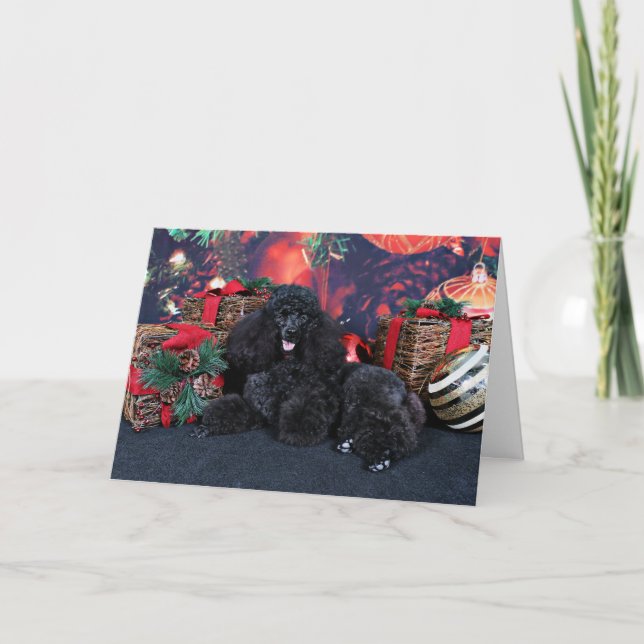 Cartes Pour Fêtes Annuelles Noël - Toby - caniche (Devant)