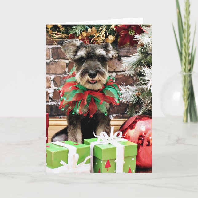 Cartes Pour Fêtes Annuelles Noël - Tom Dooley - Schnauzer #2 (Devant)