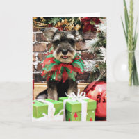 Noël - Tom Dooley - Schnauzer #2