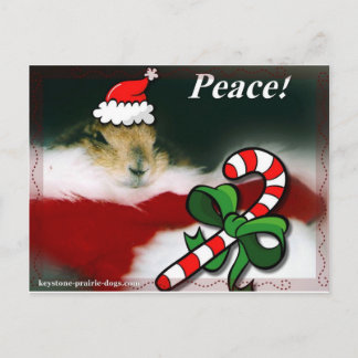 Cartes Pour Fêtes Annuelles Noël trapézoïdal de chien de prairie