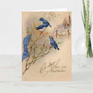 Cartes Pour Fêtes Annuelles Noël vintage