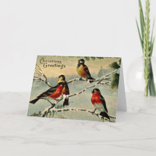 Cartes Pour Fêtes Annuelles Noël vintage d'oiseaux