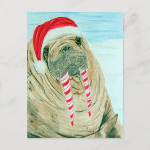 Cartes Pour Fêtes Annuelles Noël Walrus