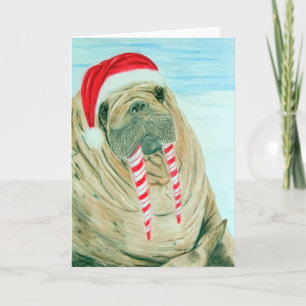 Cartes Pour Fêtes Annuelles Noël Walrus