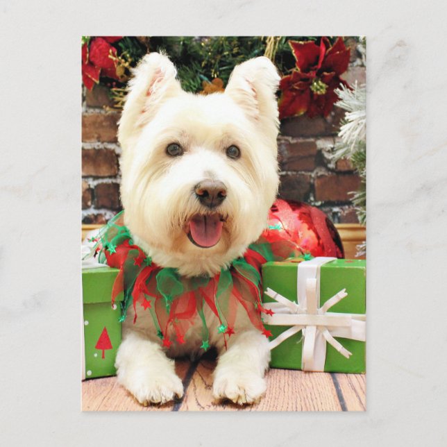 Cartes Pour Fêtes Annuelles Noël - Westie - Lucky (Devant)
