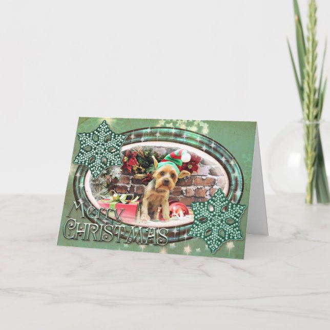 Cartes Pour Fêtes Annuelles Noël - Yorki - nounours (Devant)