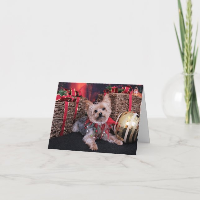 Cartes Pour Fêtes Annuelles Noël - Yorkshire Terrier - Vinnie (Devant)