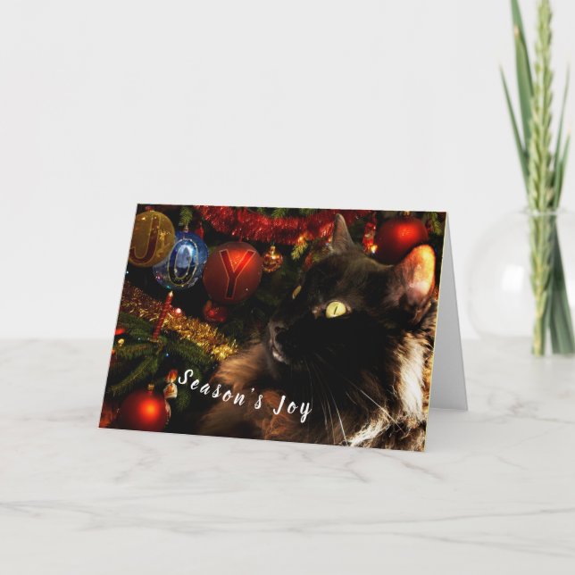 Cartes Pour Fêtes Annuelles Noir Chat Joyeux Noël (Devant)