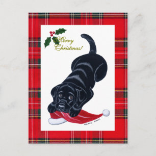 Cartes Pour Fêtes Annuelles Noir Labrador Chiot et Noël