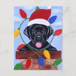 Cartes Pour Fêtes Annuelles Noir Labrador Chiot Noël