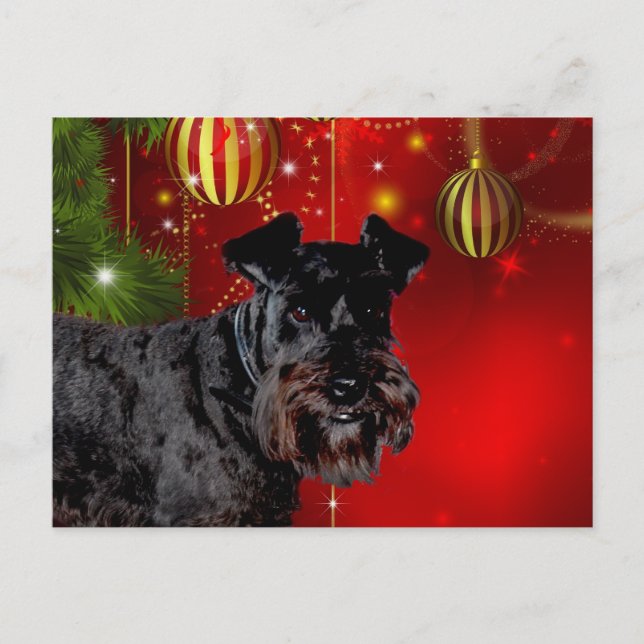 Cartes Pour Fêtes Annuelles Noir Schnauzer Noël (Devant)