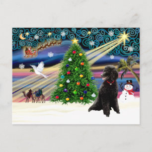 Cartes Pour Fêtes Annuelles Noir-Std-Poodle-Xmas