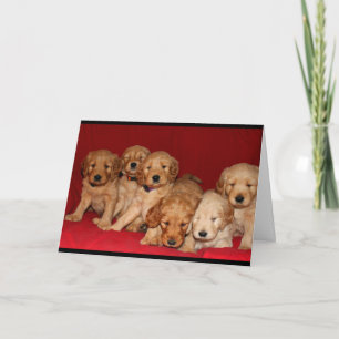 Cartes Pour Fêtes Annuelles Nom de dieu Joyeux Noël !