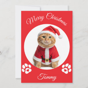 Cartes Pour Fêtes Annuelles Nom personnalisé et photo pour Noël de chats