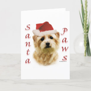 Cartes Pour Fêtes Annuelles Norfolk Terrier Père Noël Paws