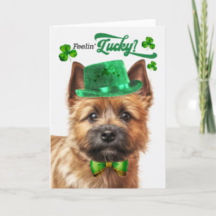 Cartes Pour Fêtes Annuelles Norwich Terrier Dog Feelin' Lucky St Patrick's Day