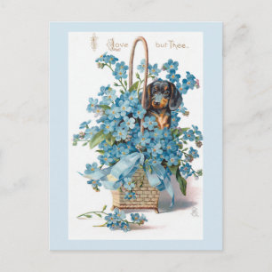Cartes Pour Fêtes Annuelles Nostalgale Vintage Floral Valentine avec Dachsund