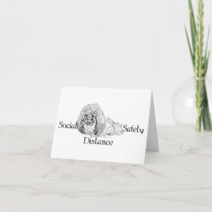 Cartes Pour Fêtes Annuelles Notes de Pekingese Dog